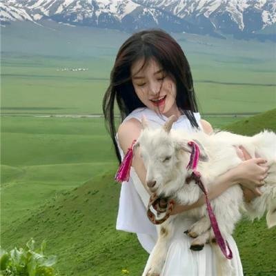 蜜蜂的秘密生活